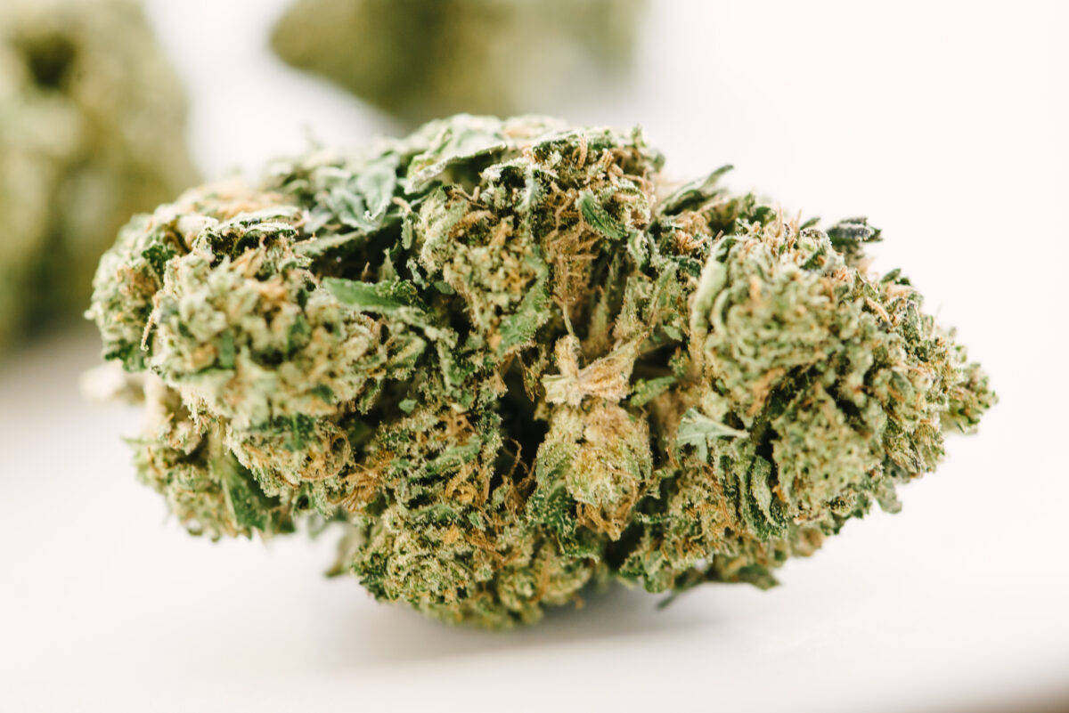 THC Flower for Inflammation: An All-Inclusive Manual