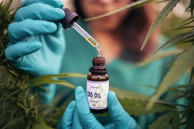 Beyond Relief: The Surprising Benefits of Using Canada's Top-Rated CBD Brand